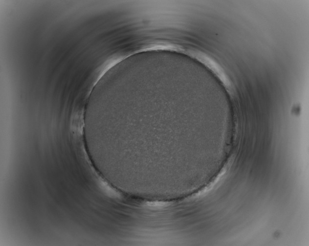 X0000102491377200808221720