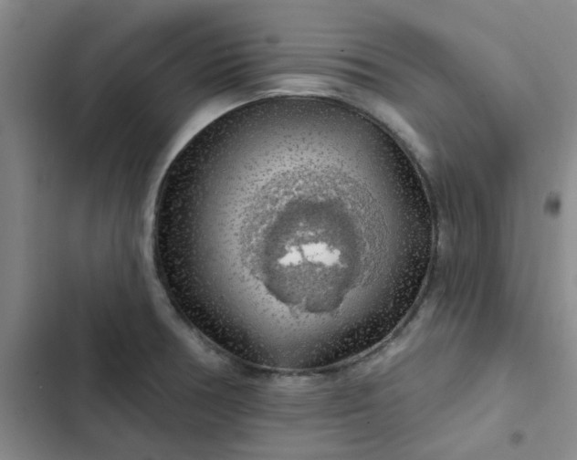 X0000102491378200808221720