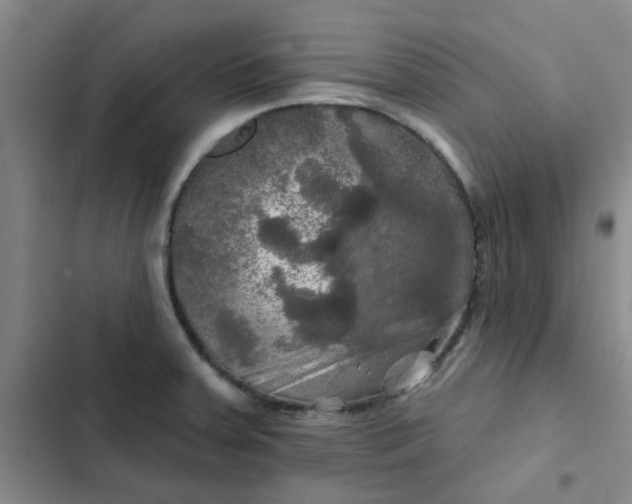 X0000102491379200808221720