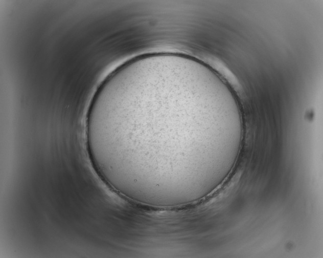 X0000102491380200808221720