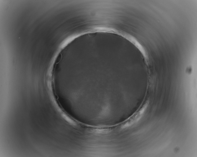 X0000102491381200808221720