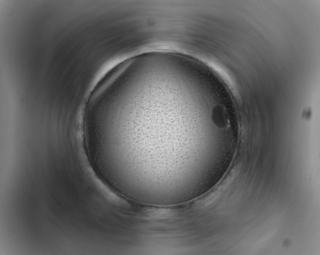 X0000102491382200808221720