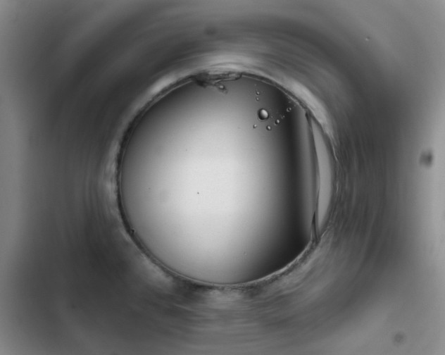 X0000102491384200808221720