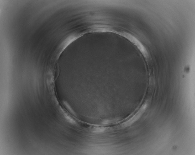 X0000102491385200808221720