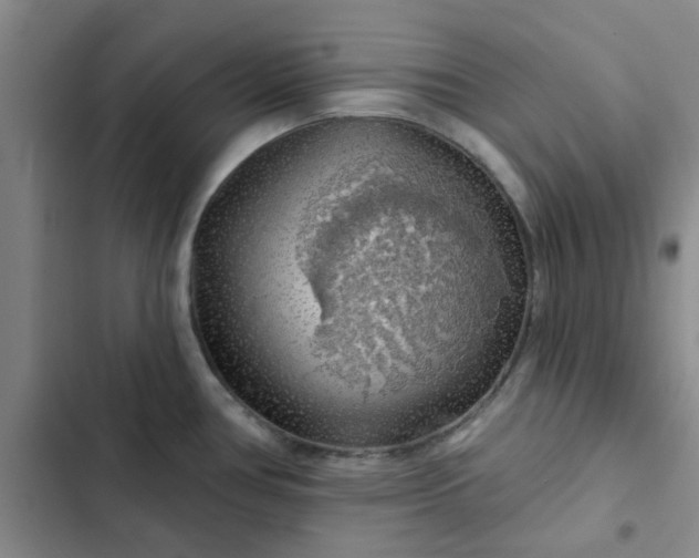 X0000102491386200808221720