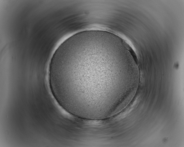 X0000102491387200808221720