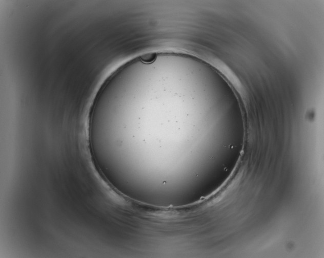 X0000102491388200808221720