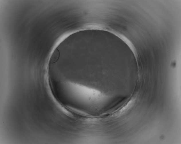 X0000102491389200808221720