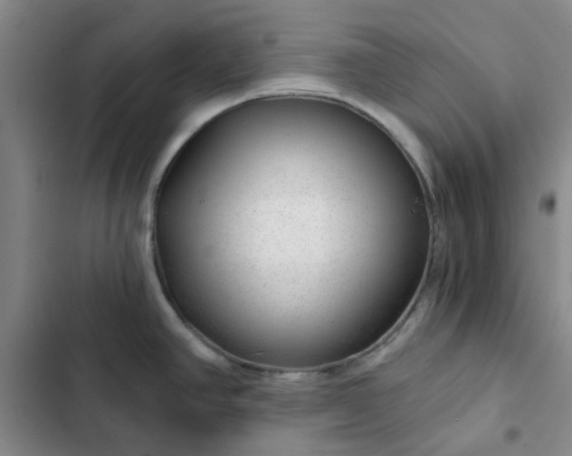 X0000102491390200808221720