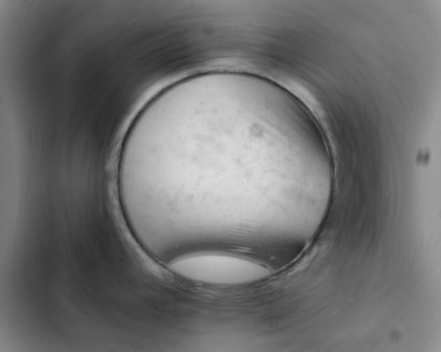 X0000102491392200808221720