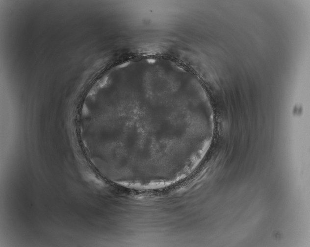 X0000102491393200808221719