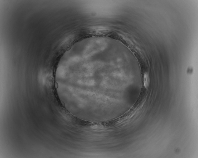 X0000102491395200808221719