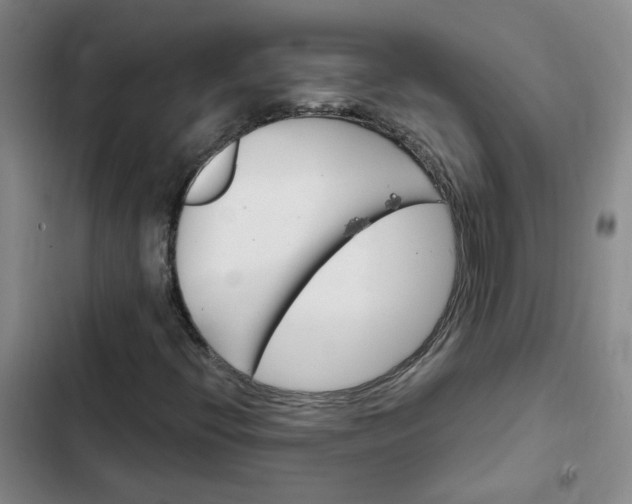 X0000102491396200808221719