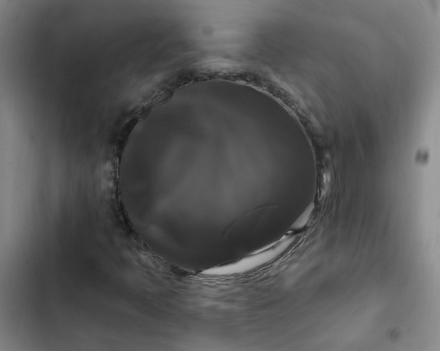 X0000102491397200808221719