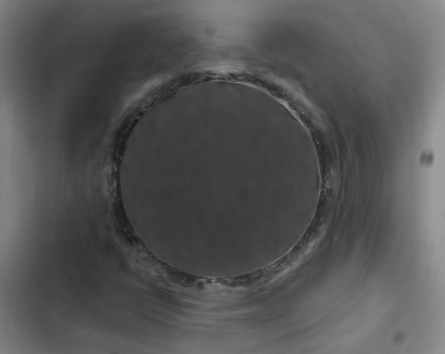 X0000102491398200808221719