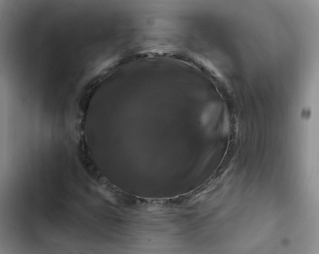 X0000102491399200808221719