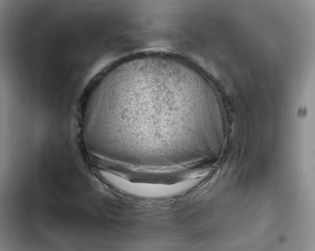 X0000102491400200808221719