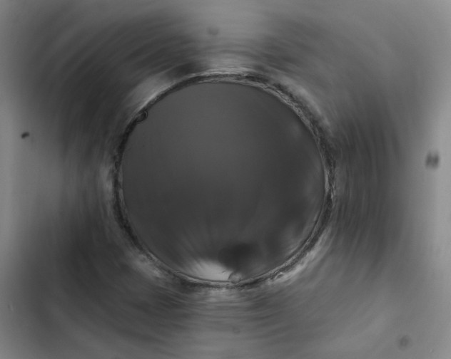 X0000102491401200808221720