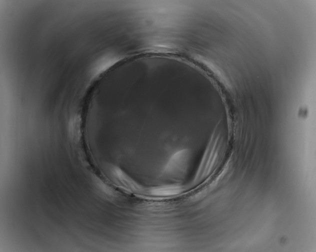 X0000102491402200808221720