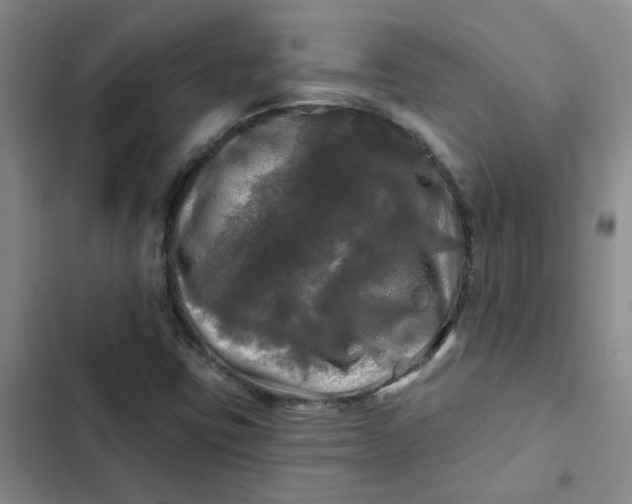 X0000102491403200808221720