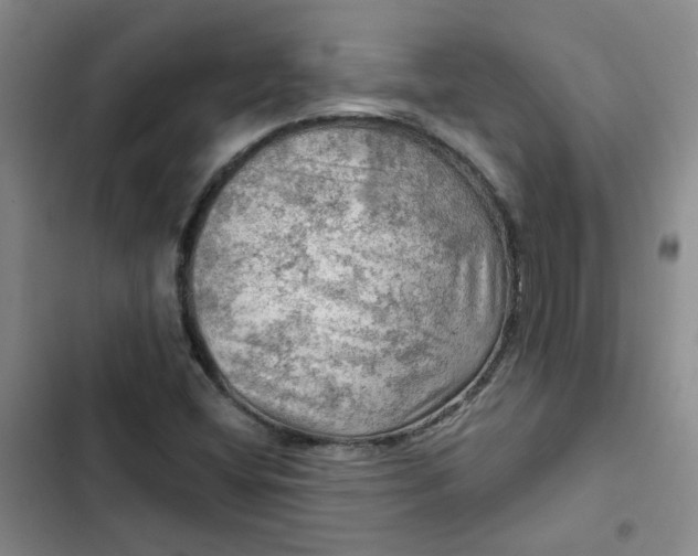 X0000102491404200808221720