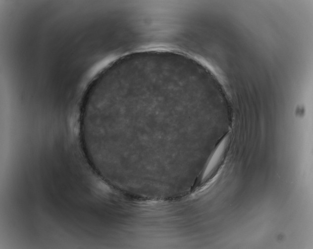 X0000102491406200808221720