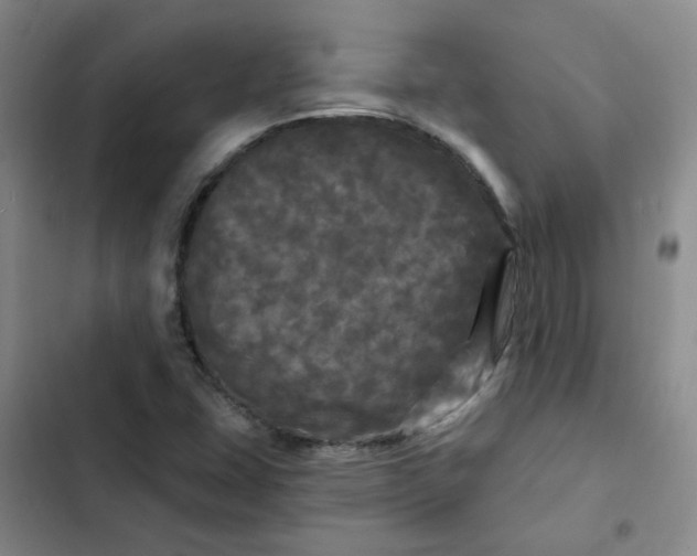 X0000102491407200808221720