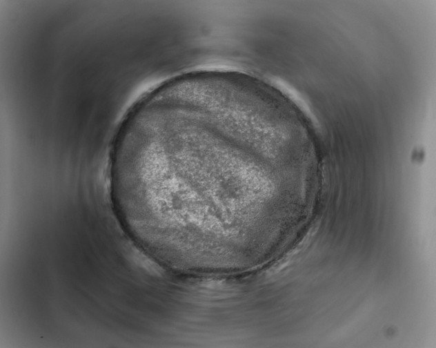 X0000102491408200808221720