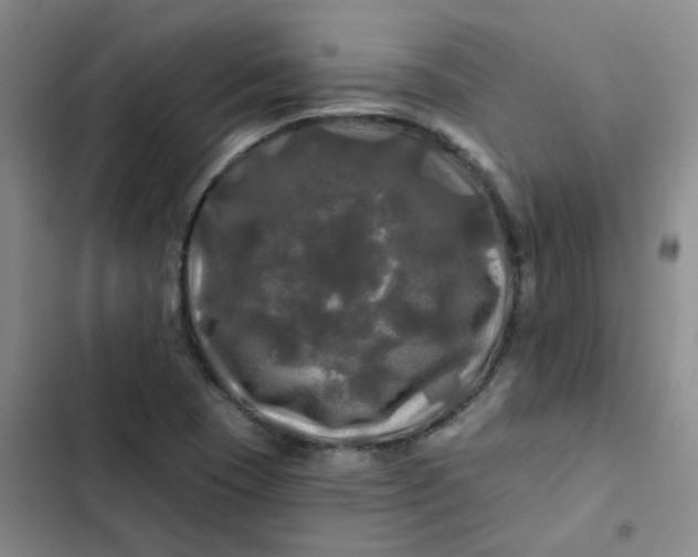 X0000102491409200808221720