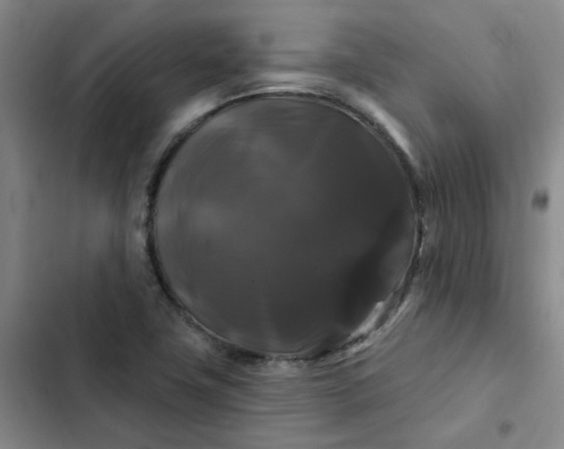 X0000102491411200808221720