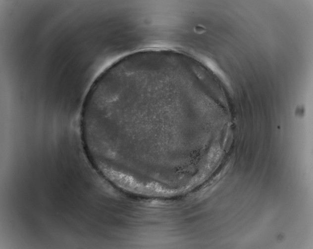 X0000102491412200808221720