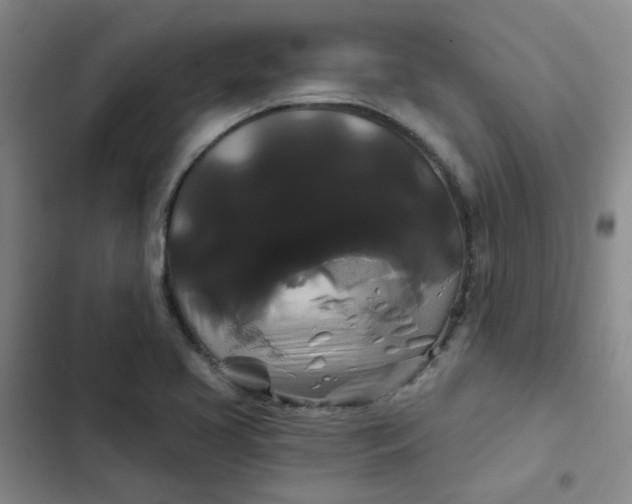 X0000102491413200808221720