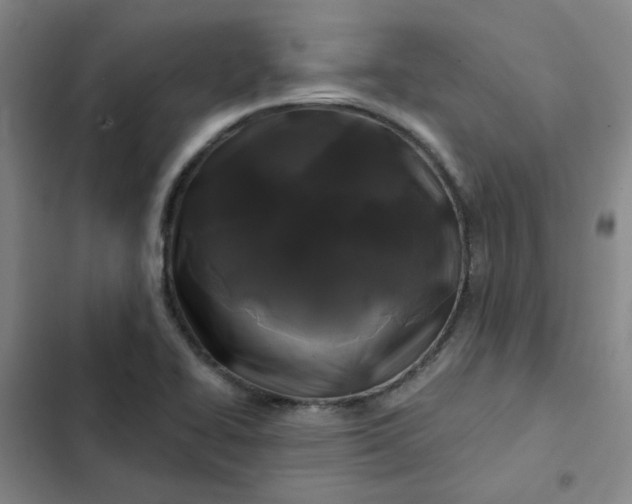 X0000102491414200808221720