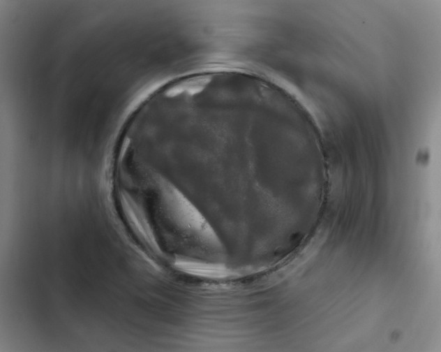 X0000102491415200808221720