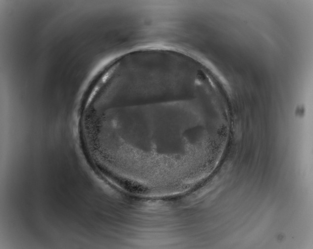 X0000102491416200808221720