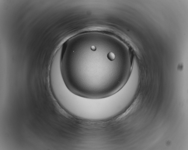 X0000102491417200808221720