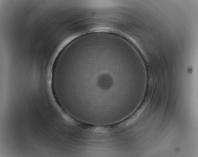 X0000102491418200808221720