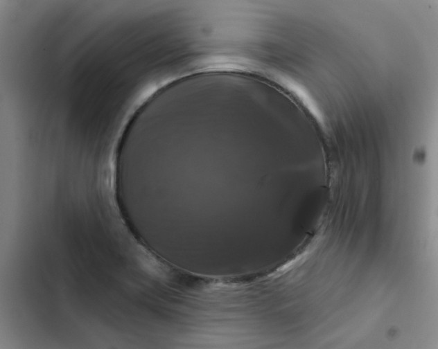 X0000102491419200808221720