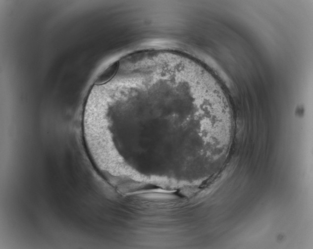 X0000102491421200808221720