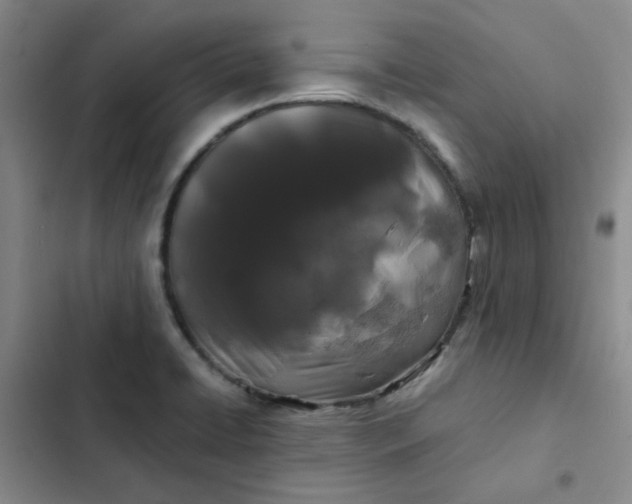 X0000102491422200808221720