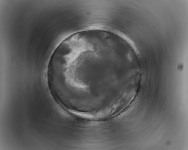 X0000102491423200808221720