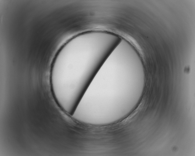 X0000102491424200808221720