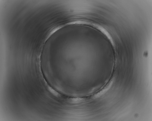 X0000102491425200808221720