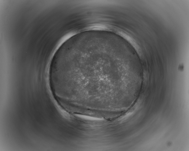 X0000102491426200808221720