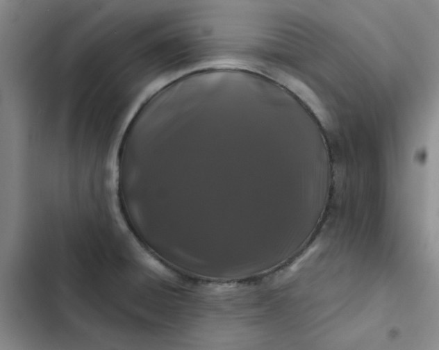 X0000102491428200808221720