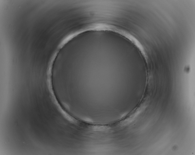 X0000102491429200808221720