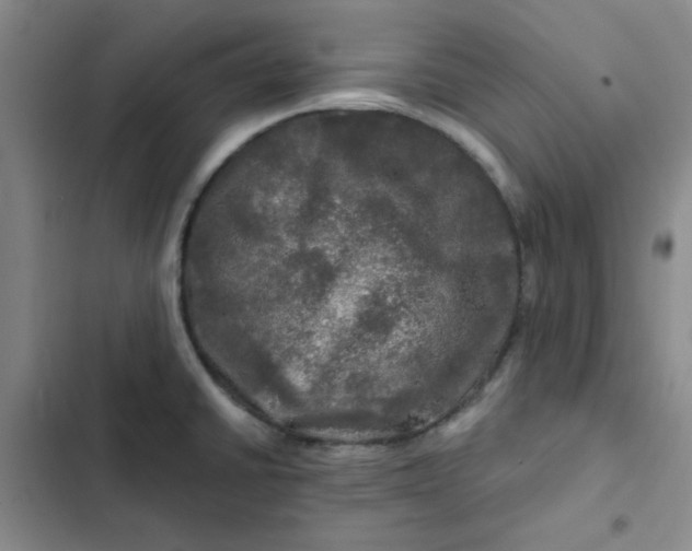 X0000102491430200808221720