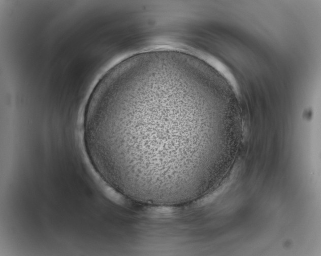 X0000102491431200808221720