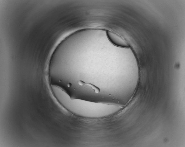 X0000102491432200808221720