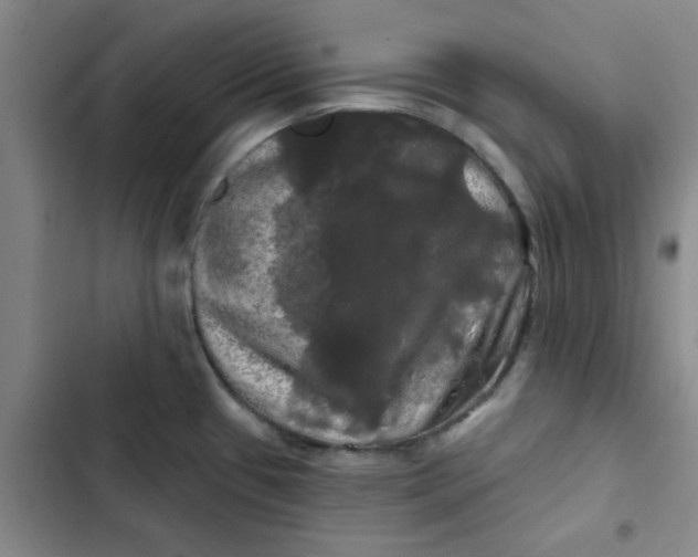 X0000102491433200808221720